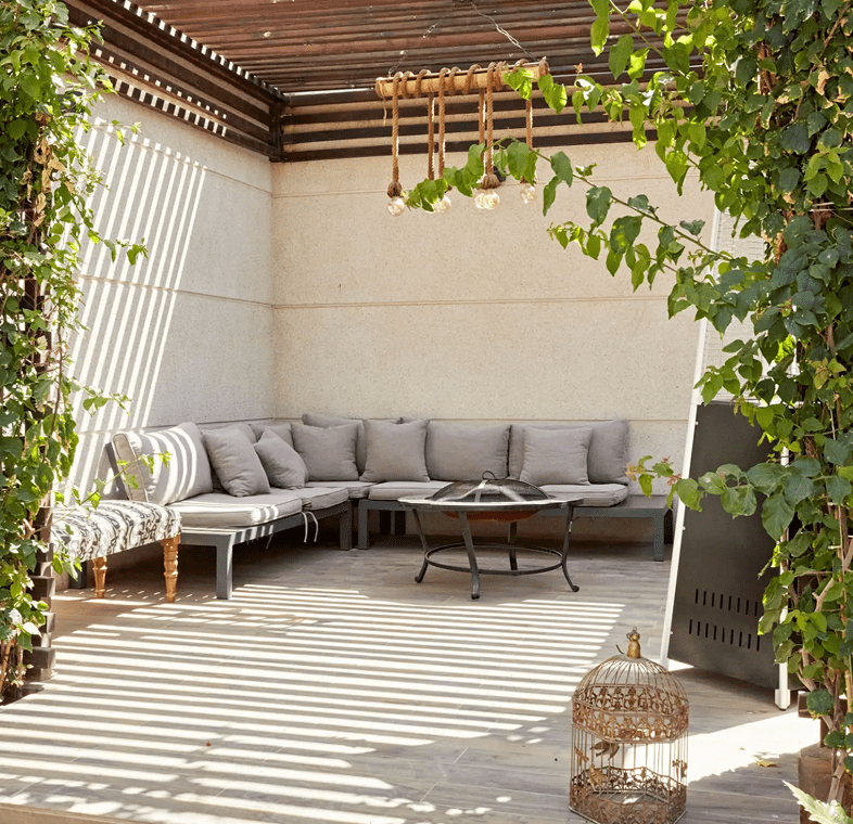Lush greenery on a sunlit patio