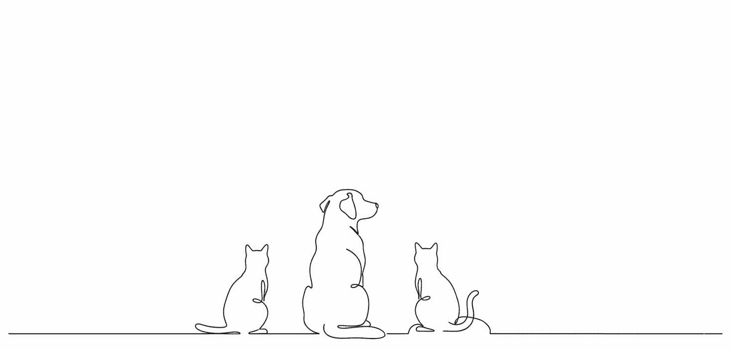 Gemini_Generated_Image_ojyxlwojyxlwojyx